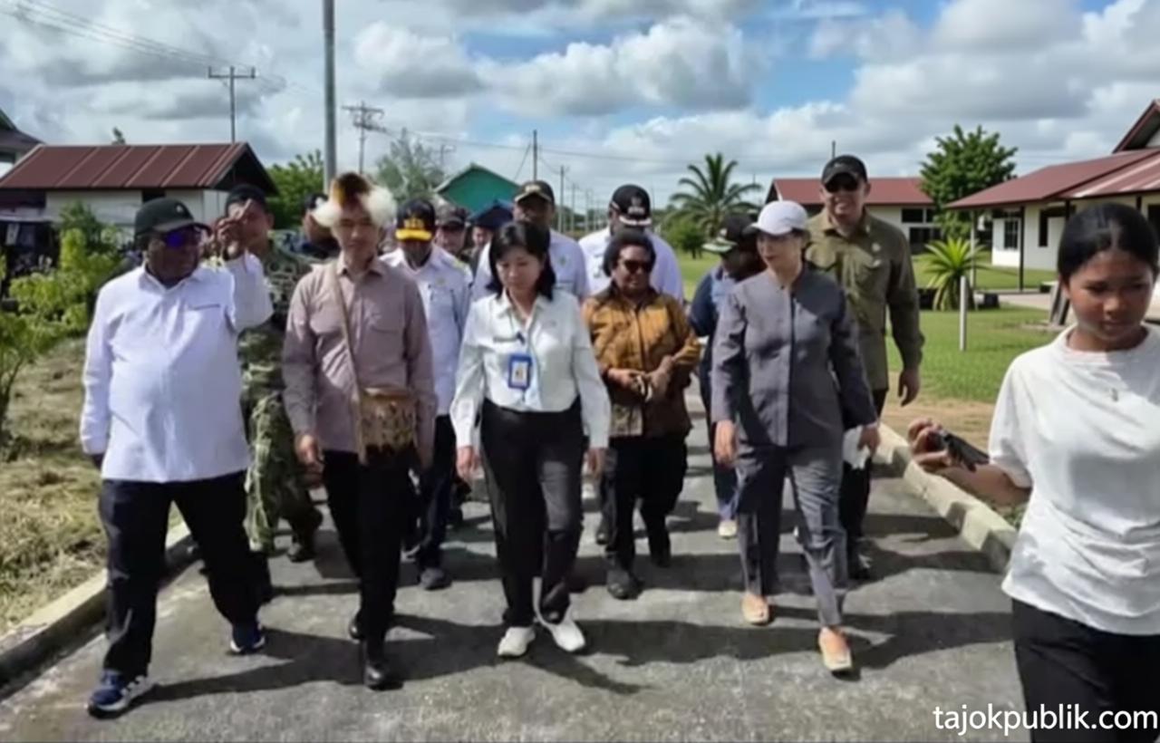 Key Strategy: Wapres Kunjungi RSUD Perpetua Asmat, Janjikan Kenaikan Status Jadi Tipe C