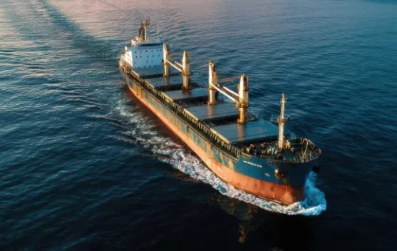 Topics Covered: Iran Minta Houthi Siap Tutup Jalur Pelayaran Laut Merah