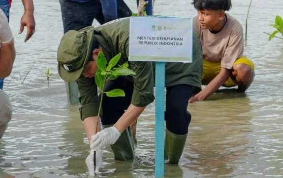 Key Strategy: Pesisir Indonesia di Persimpangan Eksploitasi dan Keberlanjutan