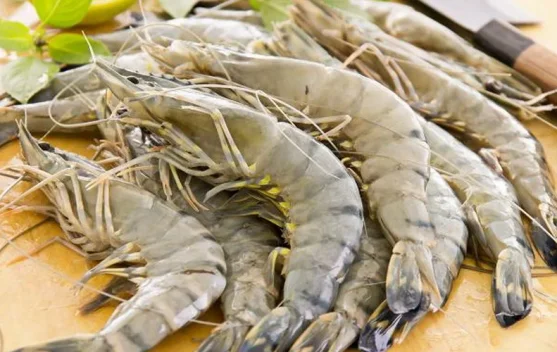 Special Plan: DPR Apresiasi Udang Kebumen Tembus Pasar AS
