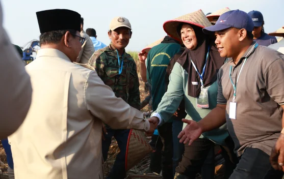 New Policy: Momen Panen Raya Bersama Presiden, Buruh Tani Lansia Ceritakan Kebahagiaan