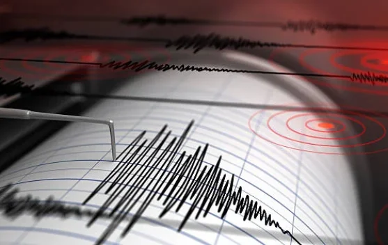 What Happened: Gempa Magnitudo 2,4 Landa Pacitan Jawa Timur