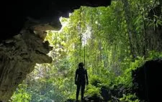 Topics Covered: Mengulik Daya Tarik Wisata Alam Goa Gerongokng dan Goa Serumi