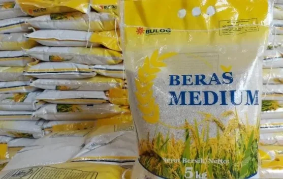 Bulog Optimis Target 4 Juta Ton Beras Segera Tercapai