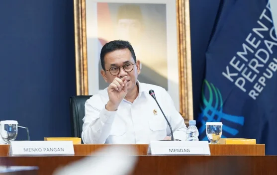 Mendag Bertolak ke India, Perjuangkan Akses Pasar di Forum BRICS