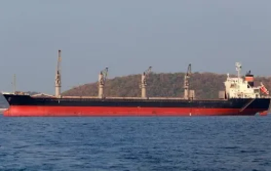 Iran dan Oman Upayakan Pembukaan Kembali Selat Hormuz