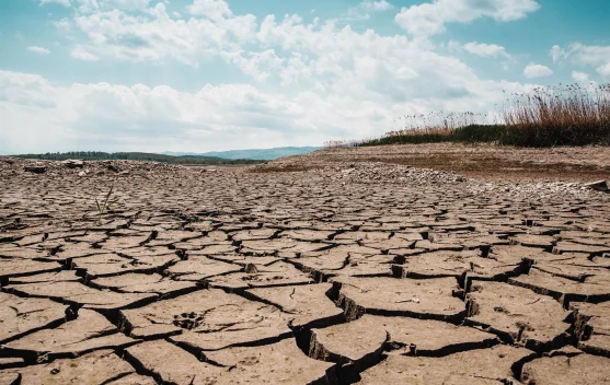 El Nino Menguat, Asia Tenggara Waspada Panas dan Kabut Asap