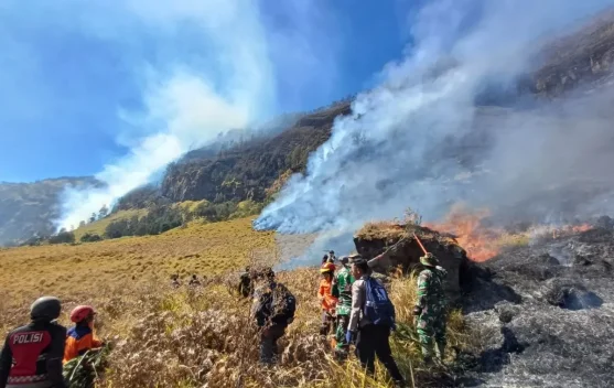 Karhutla di Gunung Bromo Belum Padam