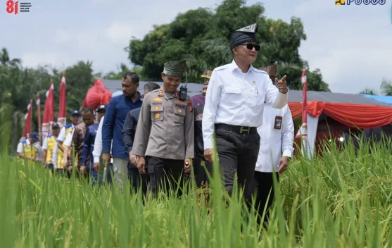 Kementerian PU Percepat Rehabilitasi Irigasi Kuansing Dukung Swasembada Pangan