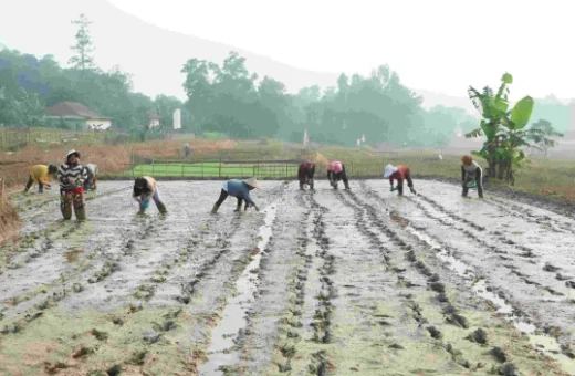 Tingkat Kesejahteraan Petani, Dinas Pertanian Bekasi Terapkan Pertanian Modern