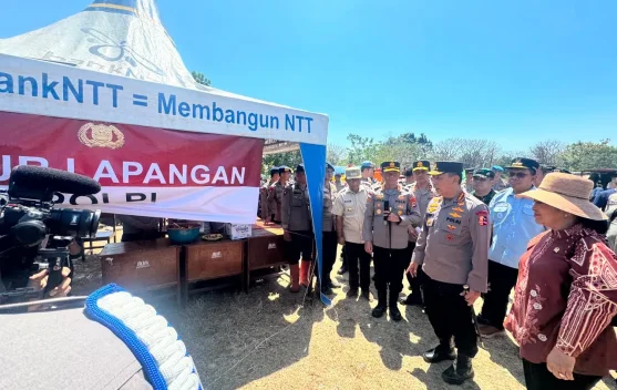 xl_1787061583985278_1b69691f7b_berita_pusat-pemberitaan