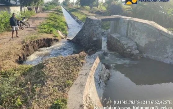 xl_1787323474292688_908f3e2a8d_berita_pusat-pemberitaan