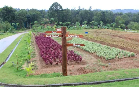 xl_1787511074175535_aaa32ad67b_berita_pusat-pemberitaan