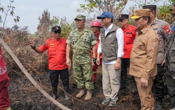 xl_1787558946526660_8a3c1e1581_berita_pusat-pemberitaan
