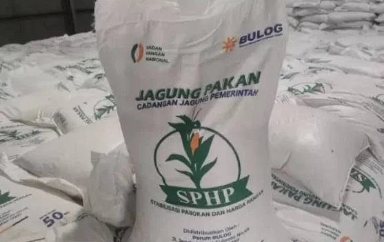 xl_1787837849957730_5578de2866_berita_pusat-pemberitaan