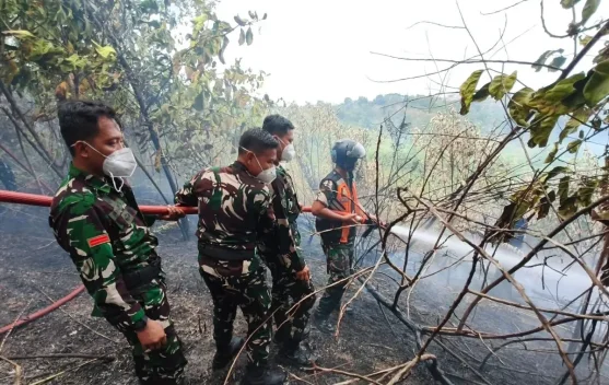 xl_1787912804871495_18c7e65f98_berita_pusat-pemberitaan