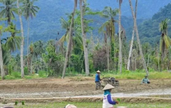 xl_1789063340960523_ebce1d1b8f_berita_pusat-pemberitaan