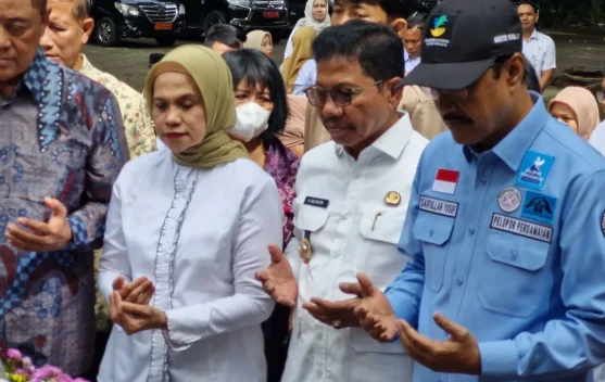 xl_1790449164734913_f6e806b905_berita_pusat-pemberitaan