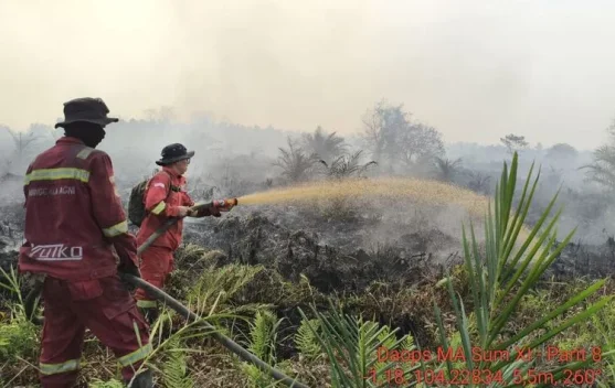 xl_1790488123786354_4d6ebdadde_berita_pusat-pemberitaan